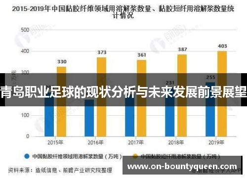 青岛职业足球的现状分析与未来发展前景展望